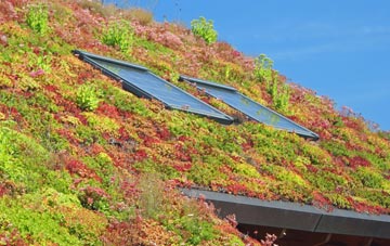 Haston living roof systems